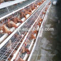 Open House A Type Battery Chicken Cage System